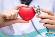 بهترین دکتر قلب در شیراز