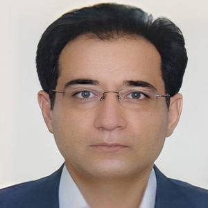 دکتر مجتبی گرجی