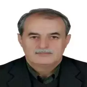 دکتر شمس الدین عاملی