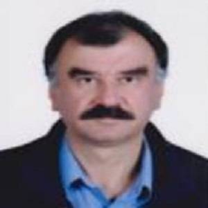 دکتر علی حسین مسگرزاده