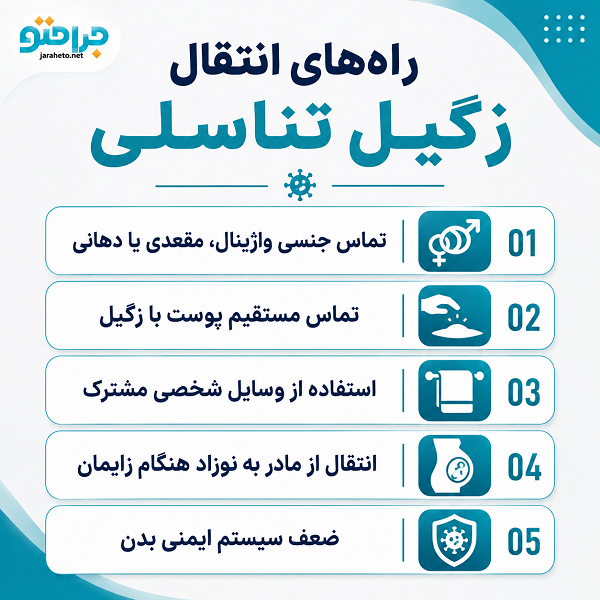 راه‌های انتقال زگیل تناسلی